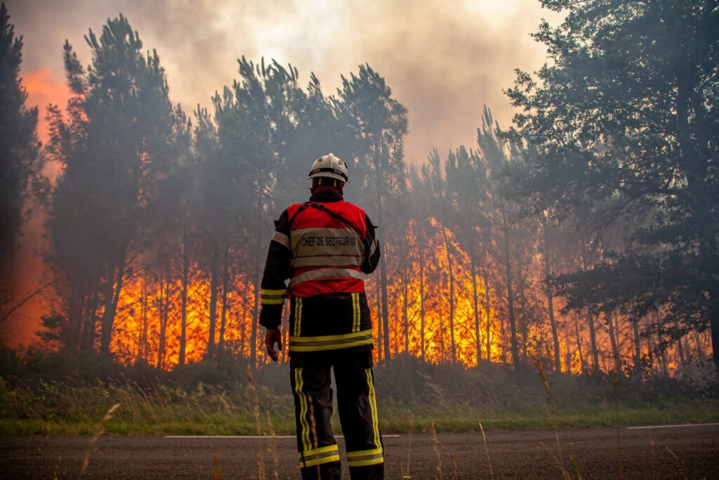 Artikel Opini Tentang Kebakaran Hutan dan Contohnya - judul